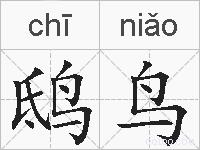 鸱鸟的拼音