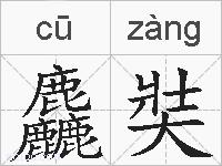 麤奘的拼音