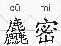 麤密的拼音
