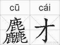 麤才的拼音