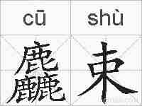 麤束的拼音