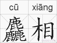 麤相的拼音