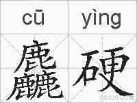 麤硬的拼音