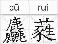 麤蕤的拼音