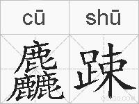麤踈的拼音