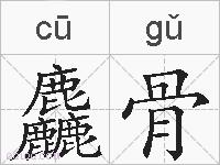 麤骨的拼音