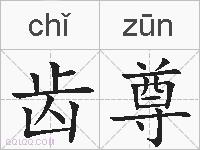 齿尊的拼音