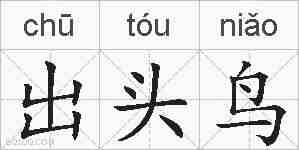 出头鸟的拼音