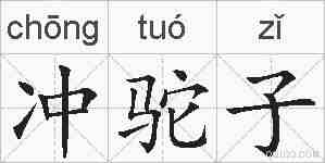 冲驼子的拼音