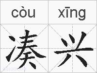 凑兴的拼音