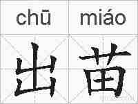 出苗的拼音