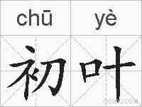 初叶的拼音
