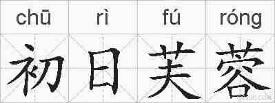 初日芙蓉的拼音