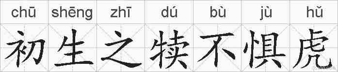 初生之犊不惧虎的拼音