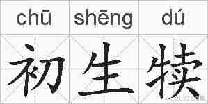 初生犊的拼音