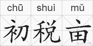 初税亩的拼音