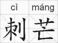 刺芒的拼音
