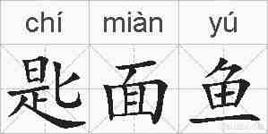 匙面鱼的拼音