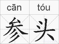 参头的拼音