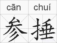 参捶的拼音