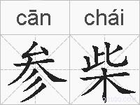 参柴的拼音