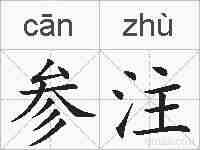 参注的拼音
