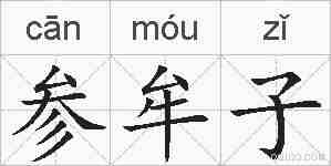 参牟子的拼音