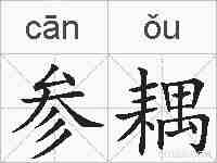 参耦的拼音
