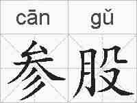 参股的拼音