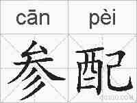 参配的拼音