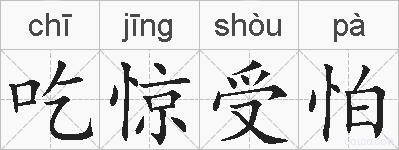 吃惊受怕的拼音