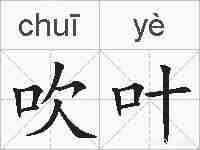 吹叶的拼音