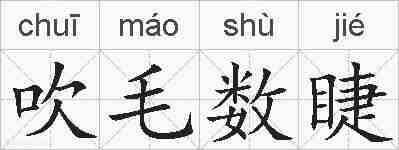 吹毛数睫的拼音