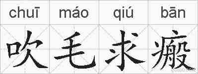 吹毛求瘢的拼音