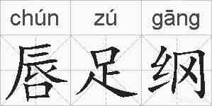 唇足纲的拼音