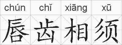 唇齿相须的拼音