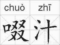 啜汁的拼音
