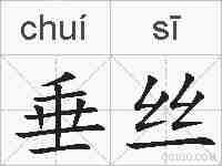 垂丝的拼音