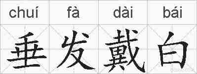 垂发戴白的拼音