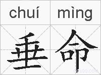 垂命的拼音