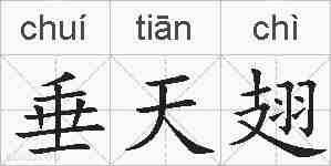 垂天翅的拼音