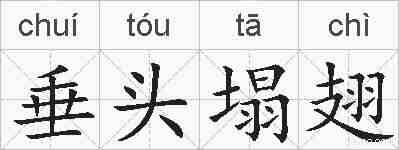垂头塌翅的拼音