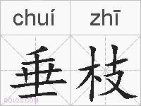 垂枝的拼音