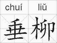 垂柳的拼音