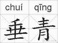 垂青的拼音