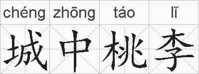 城中桃李的拼音