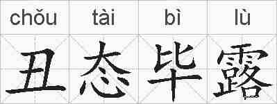丑态毕露的拼音