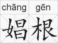 娼根的拼音