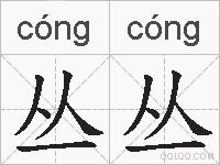 丛丛的拼音