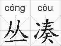 丛凑的拼音
